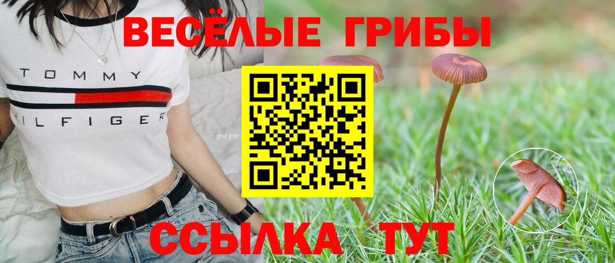 Псилоцибиновые грибы MAGIC MUSHROOMS  Вход с VPN  Димитровград 
