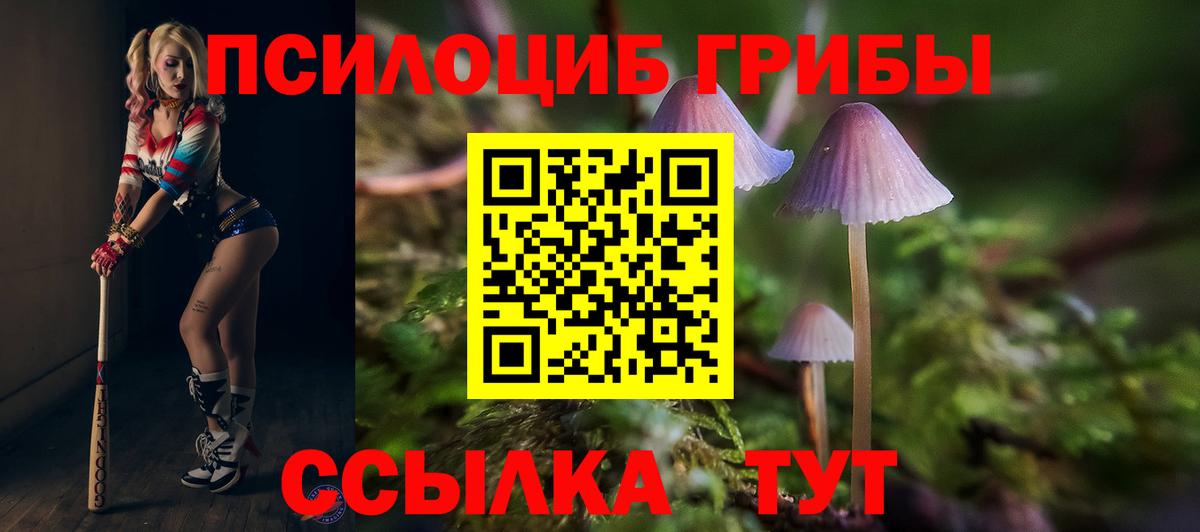 Галлюциногенные грибы мухоморы Димитровград
