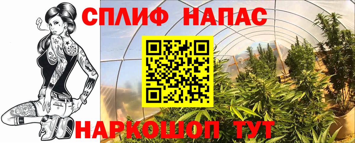 Димитровград  Марихуана MAZAR  Бошки марихуана индика  Вход с VPN  Шишки марихуана семена 